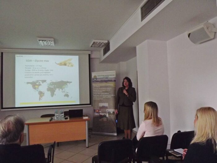 soja, pole, plantacja