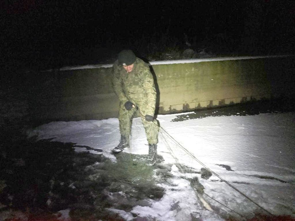 kłusownictwo, walka z kłusownikami, nielegalny połów ryb, nielegalne polowanie, policja, straż leśna