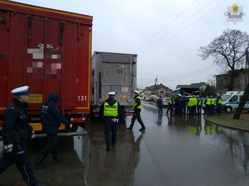 mandat, niewłaściwy transport zwierząt, policja, ITD, pomorskie
