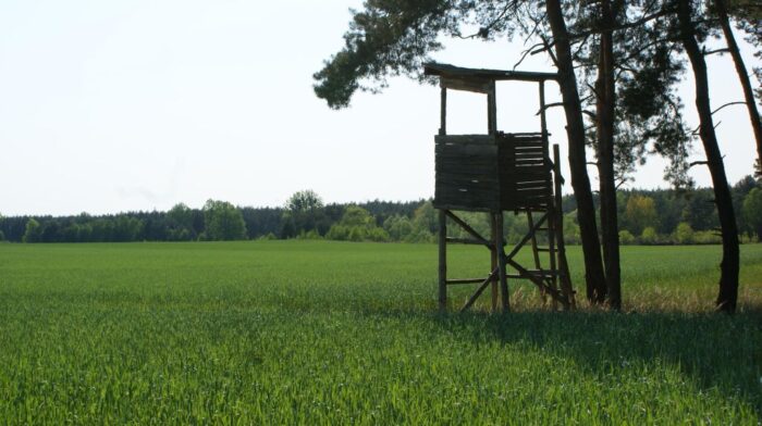 nowe prawo łowieckie, prawo łowieckie, sejm, henryk kowalczyk, ministerstwo środowiska