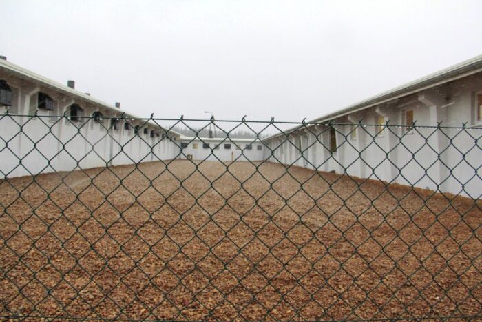 zwalczanie afrykańskiego pomoru świń ASF i grypy ptaków HPAI, plany Komisji Europejskiej, zmniejszenie środków,