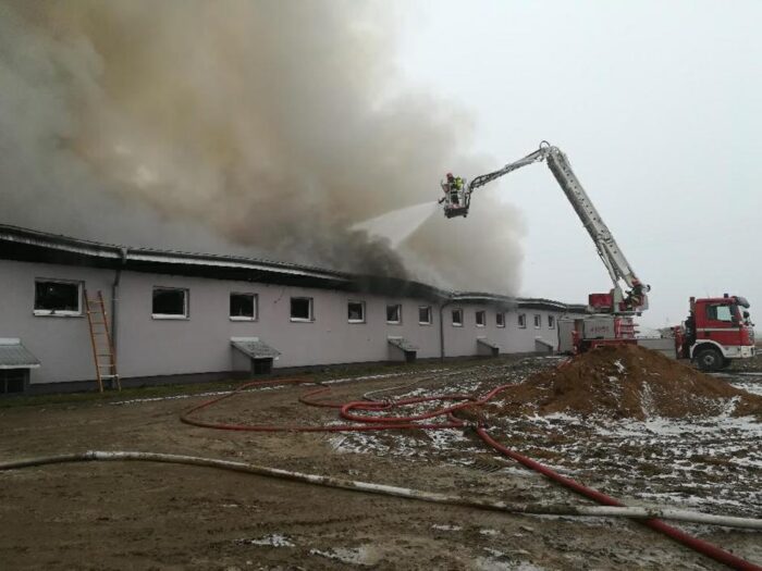 pożar chlewni, Poćwiardowo, Golub-Dobrzyń, kujawy i Pomorze, straż pożarna