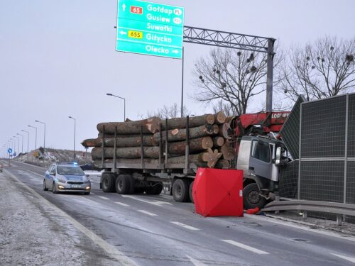 transporty drewna, kontrola transportów drewna, Inspekcja transportu drogowego, lasy państwowe