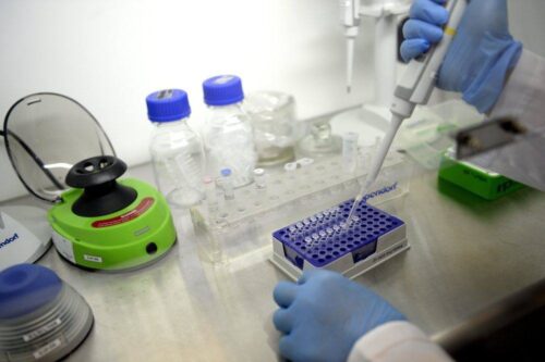 kukurydza gmo, Monsanto, MON87427, NK603xT25