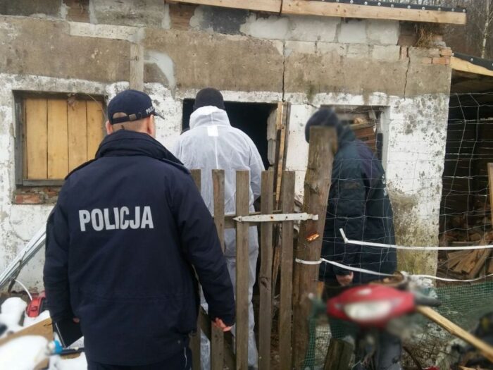 nielegalna hodowla świń, hodowla świń, walka z asf w polsce, mrągowo, warmia i mazury, inspekcja weterynaryjna