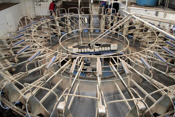 dojarnia karuzelowa, dój krów, DeLaval, wóz paszowy