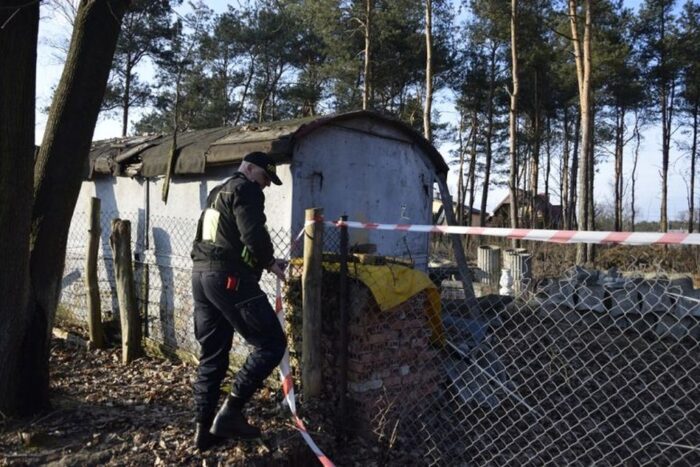 legiono, przystanek, locha, dzik, warchlaki, straż miejska w legionowie