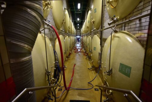 produkcja piwa w polsce, branża piwowarska, przemysł piwowarski, segment piwnych specjalności