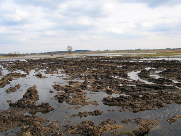 krir, kredyty dla rolników, pola pod wodą, ziemiopłody, izby rolnicze, klęski żywiołowe