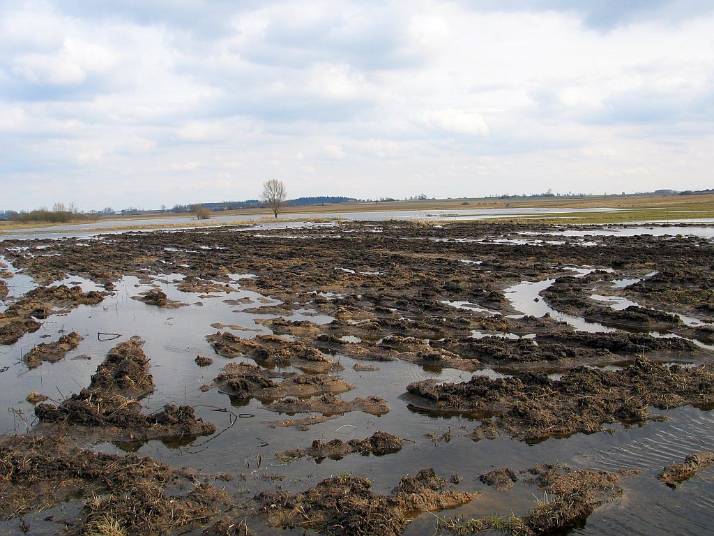 krir, kredyty dla rolników, pola pod wodą, ziemiopłody, izby rolnicze, klęski żywiołowe