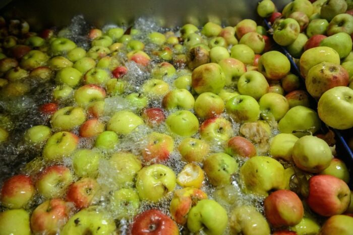 inwestycje w przetwórstwie, przetwórstwo, arimr, prow 2014-2020, nabór wniosków