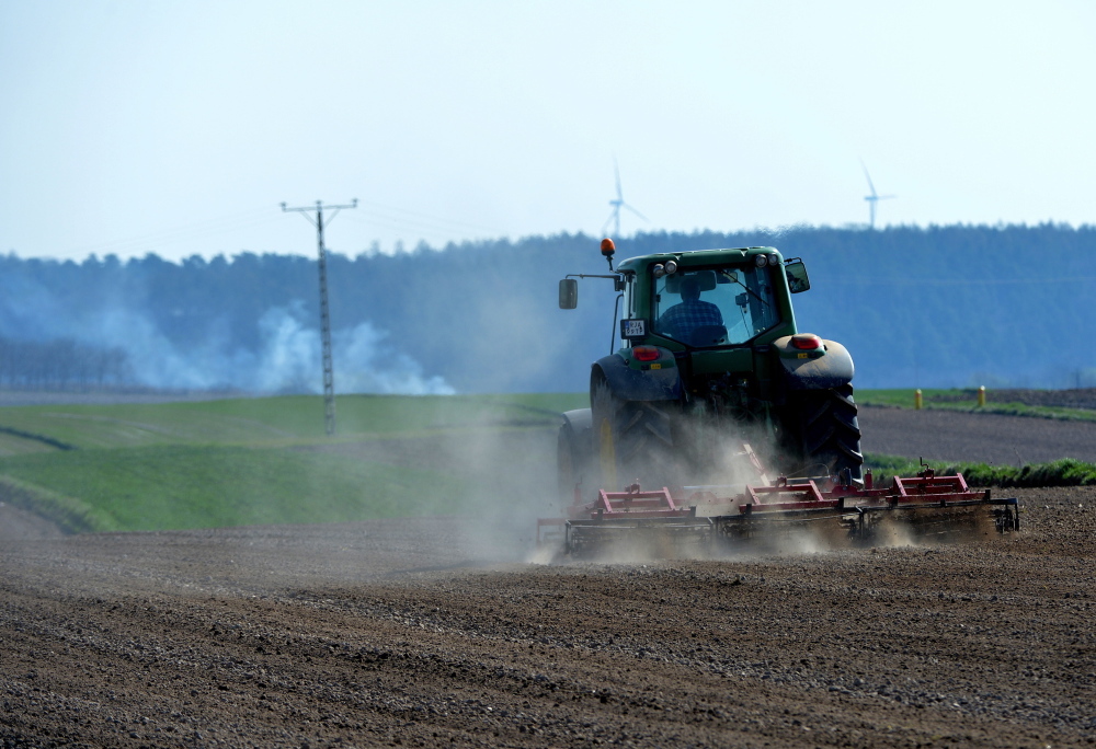 koniunktura w rolnictwie, gospodartwa rolne, gus, rozwój gospodarstw, opłacalność produkcji rolnej