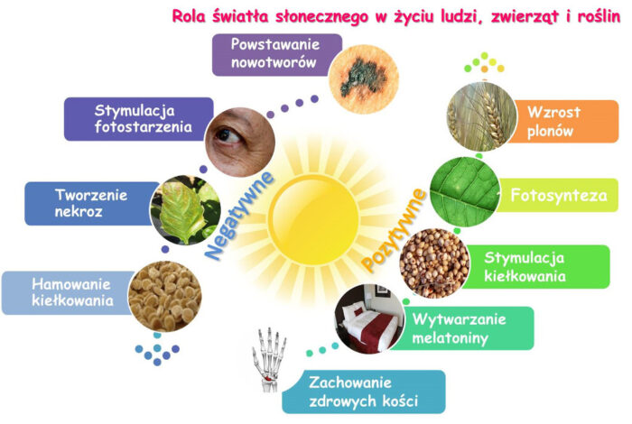 Schemat. światło