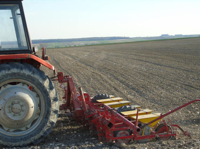 siew buraka, siewnik, pole