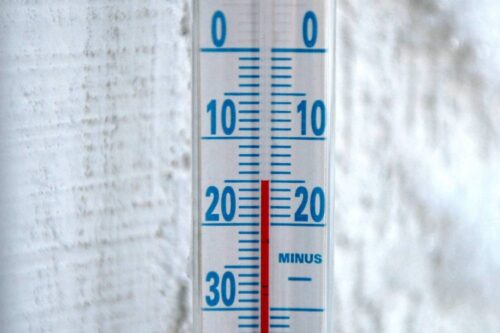 stan upraw, temperatura w lutym, gus, rzepak ozimy, jęczmień ozimy,