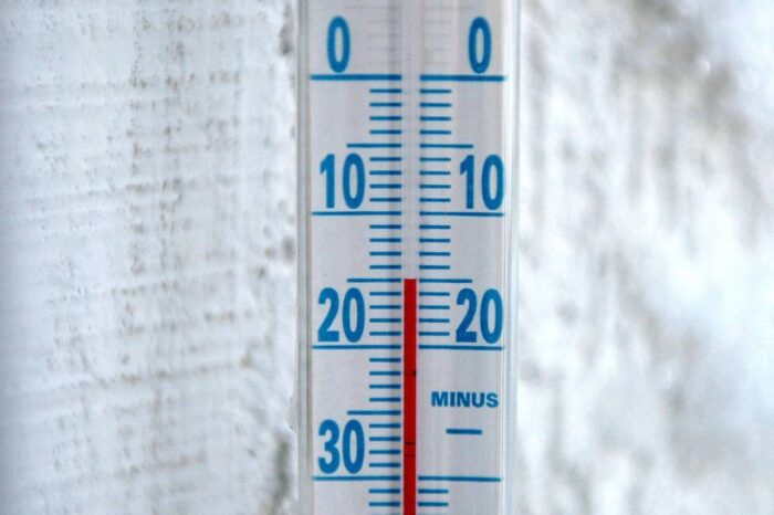 stan upraw, temperatura w lutym, gus, rzepak ozimy, jęczmień ozimy,