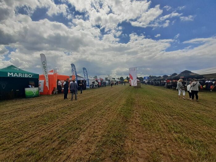 Ulhówek, Dzień Pola, cukrownia Werbkowice