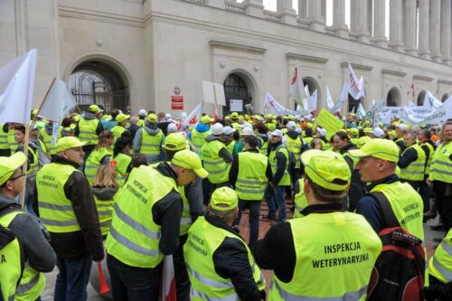 inspekcja weterynaryjna, walka z asf w polsce, Krajowa Izba Lekarsko-Weterynaryjna, protest weterynarzy