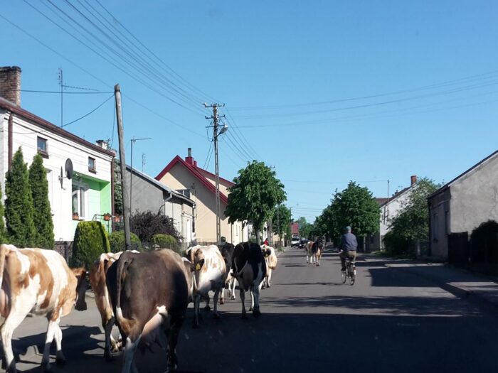 Odnowa Wsi Świętokrzyskiej, świętokrzyskie, rozwój obszarów wiejskich, inwestycje na wsi, remont obiektów społecznych