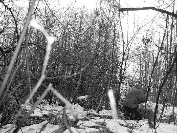kłusownictwo, zakładanie wnyków, radymno, Nadleśnictwo Jarosław