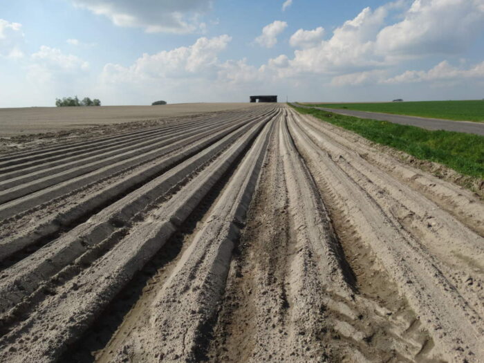 przetargi na ziemię, kupno ziemi, dzierżawa ziemi, cba, przestępcy oszukiwali rolników