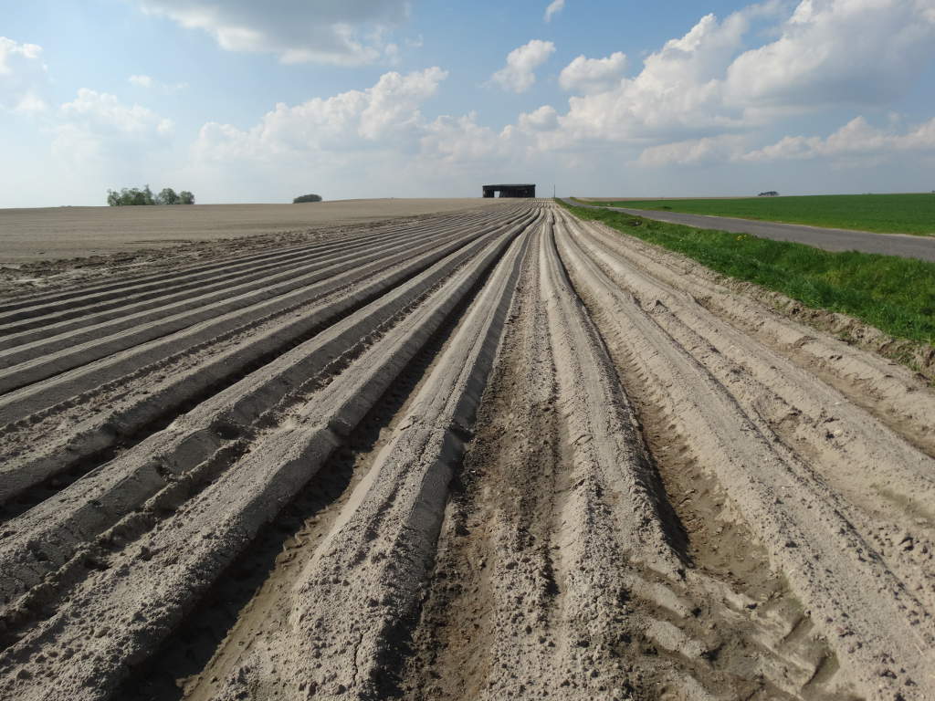 przetargi na ziemię, kupno ziemi, dzierżawa ziemi, cba, przestępcy oszukiwali rolników