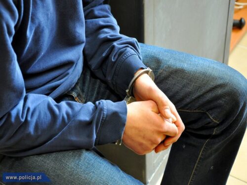 złodziej traktora, złodzieje akumulatorów, kradzież maszyn rolniczych, policja, powiat makowski, mazowsze