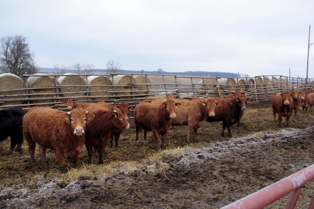katastrofa ekologiczna, zmiany klimatu, redukcja zanieczyszczania atmosfery