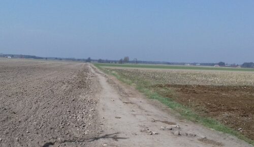 gmina Kłoczew, Lubelszczyzna, ryki, zaorana droga, drogi gminne, policja