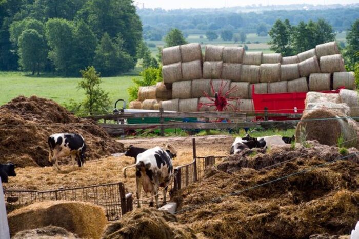 restrukuryzacja małych gospodarstw, Agencja Restrukturyzacji i Modernizacji Rolnictwa, Andrzej Gross