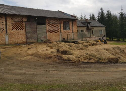 konie, gospodarstwo grozy, podkarpackie, martwe konie, policja, przestępstwo