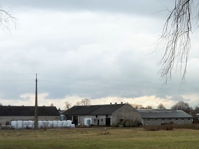 Europejski Trybunał Obrachunkowy, kontrole eto, kontrola żywności, janusz wojciechowski, bezpieczeństwo żywności