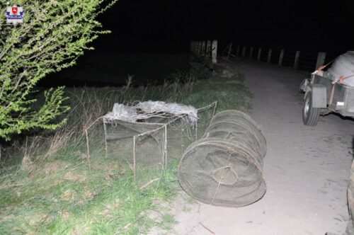 kłusownictwo, parczew, lubelszczyzna, kanał Wieprz-Krzna, puchowa kura