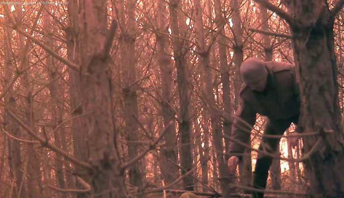 kłusownictwo, Nadleśnictwa Lubartów, akcja kłusownik, walka z asf, balewo, sztum, straż leśna