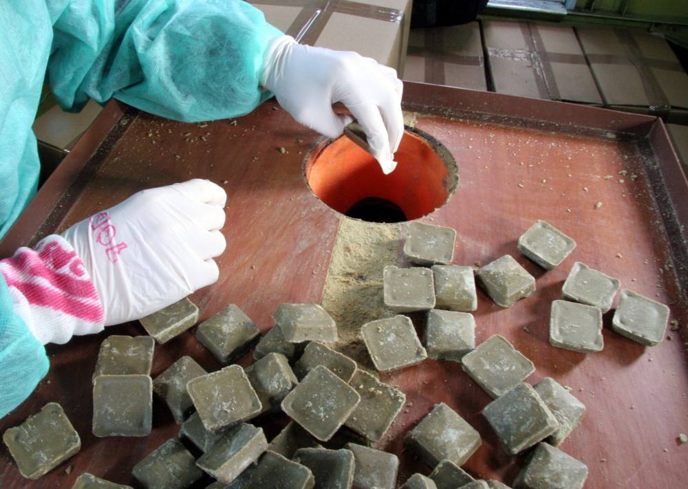 wścieklizna, szczepionka, lisy, małopolskie, szczepionka dla lisów, wścieklizna w lesie