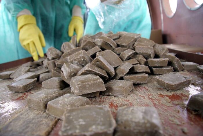 wścieklizna, szczepionka, lisy, mazowieckie, szczepionka dla lisów, wścieklizna w lesie, mazowsze