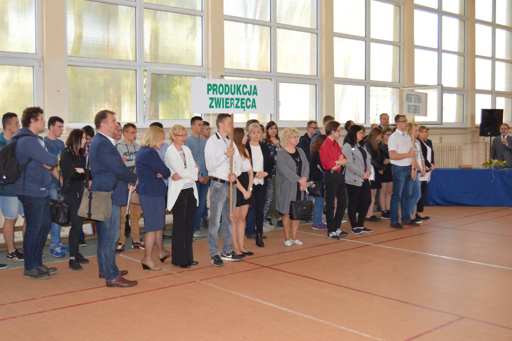 OWiUR Pyrzyce, eliminacje okręgowe OWiUR w Pyrzycach, XLII edycja OWiUR, Pyrzyce, OWiUR, zdjęcia, Szczecin
