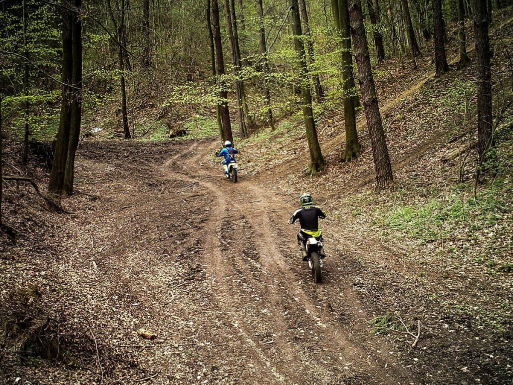 lasy państwowe, straż leśna, crossowcy, quadowcy, akcja CROSS 2018, nadleśnictwo myślenice