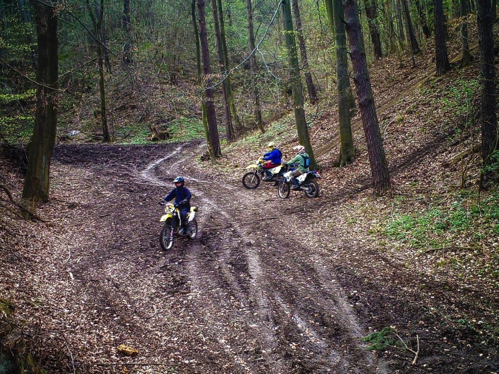 lasy państwowe, straż leśna, crossowcy, quadowcy, akcja CROSS 2018, nadleśnictwo myślenice