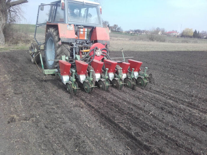 siew buraków, ciągnik, siewnik, Sahryń