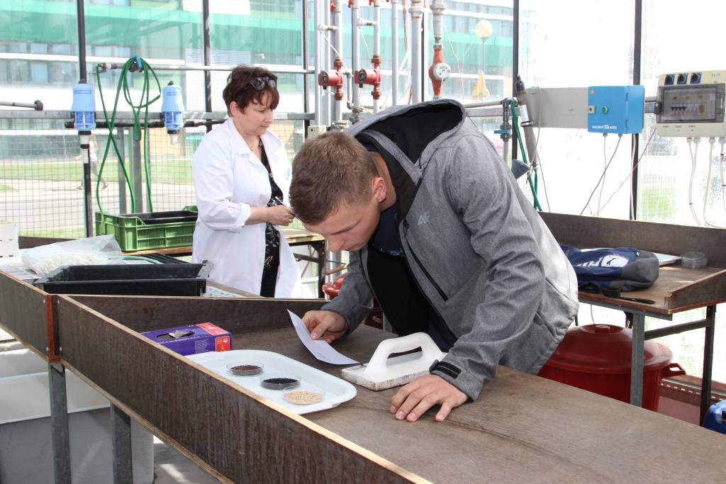 OWiUR, olimpiada, eliminacje, eliminacje okręgowe, OWiUR, XLIII edycja OWiUR