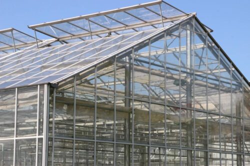 SGGW, Warszawa, OWiUR, XLII eliminacje okręgowe OWiUR w SGGW, olimpiada, zdjęcia OWiUR