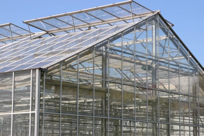 SGGW, Warszawa, OWiUR, XLII eliminacje okręgowe OWiUR w SGGW, olimpiada, zdjęcia OWiUR