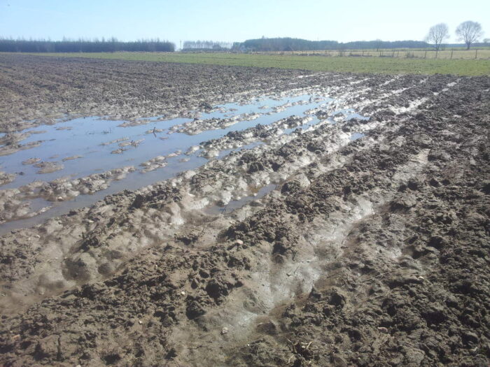 rola, powiat moniecki, kałuże