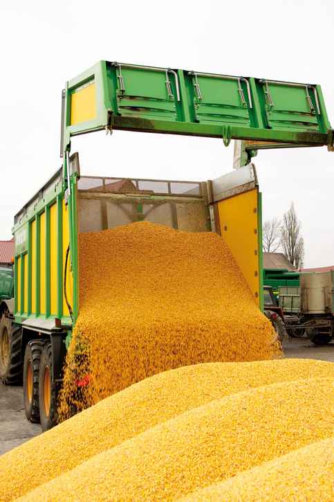 wyładunek masy Joskin Drakkar