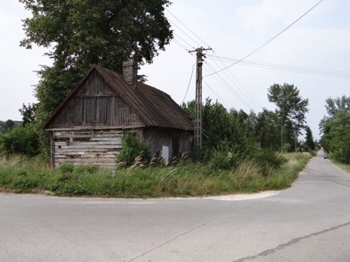 zbrza, powiat kielecki, świętokrzyskie, Mariusz Salamon , mszaki, rośliny lądowe