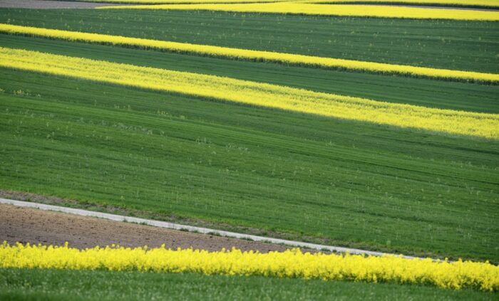 zbywanie ziemi pod lotnisko, rolnicza emerytura specjalna, kowr, Centralny Port Komunikacyjny