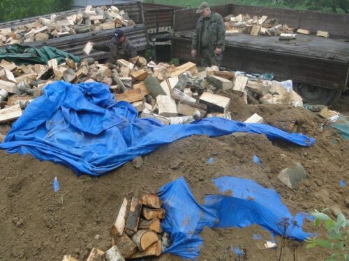 kradzież drewna, złodzieje drewna, Dylewska Góra, Nadleśnictwo Olsztynek, straż leśna