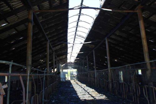 pożary w gospodarstwach, Brzozowo–Kolonia, powiat sokólski, podlasie, brody , starachowice, gąski, olecko