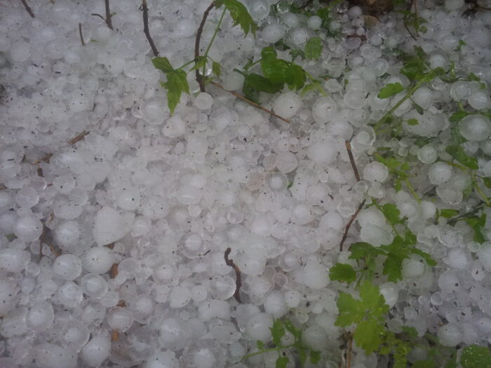 wsparcie za straty związane z pogodą, arimr, susza, grad, deszcz nawalny